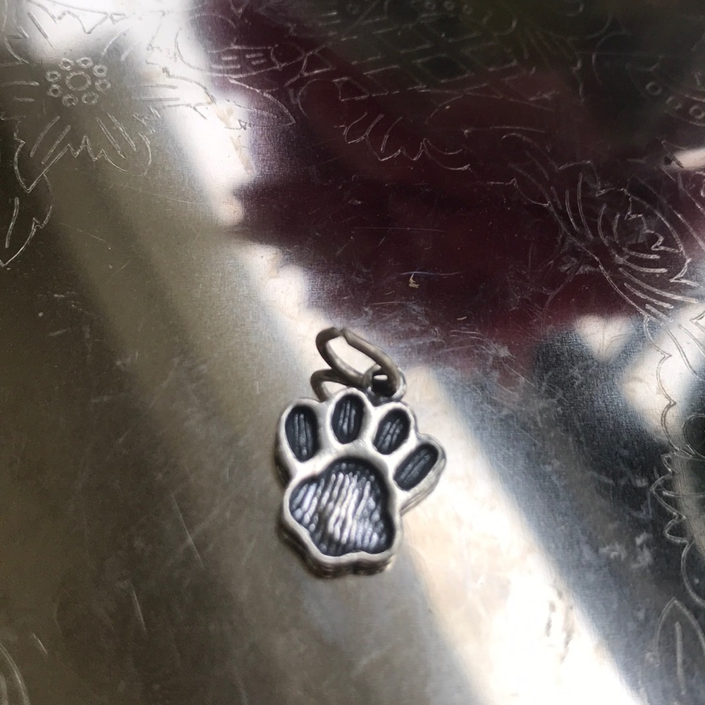 925 Sterling Silver Paw 🐾 Charm